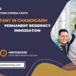 Best 10 Immigration Consultants in Chandigarh