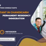 Best 10 Immigration Consultants in Mohali with Services & Countries